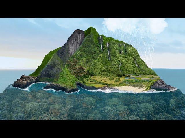 Mālama ‘āina, mālama kai (caring from land to sea)