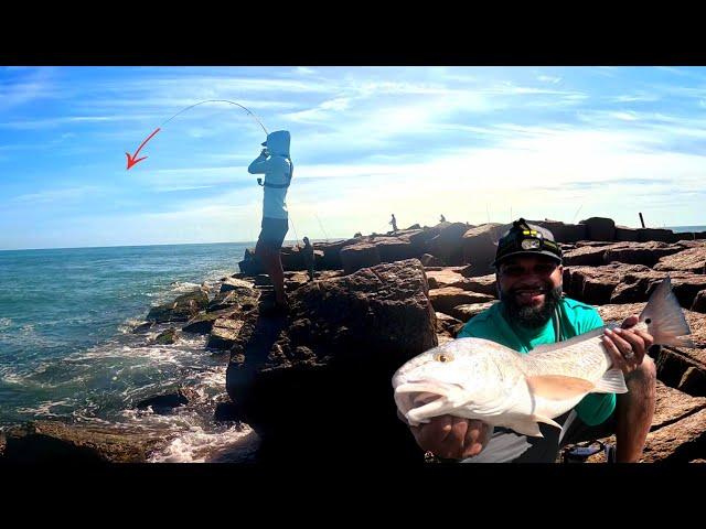 These FISH were Hungry! Jetty Fishing Catch & GRILL Fish Tacos