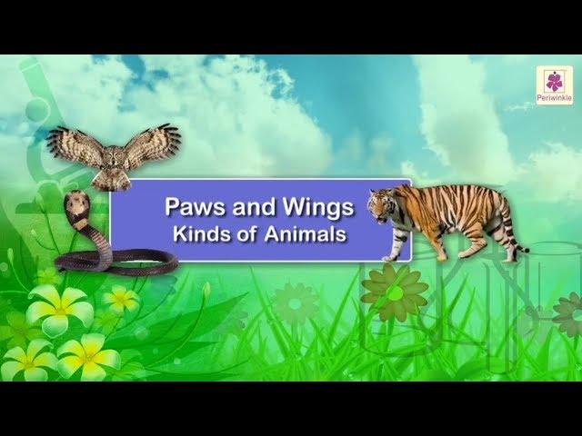 Paws and Wings - Kinds Of Animals | Science Grade 1 | Periwinkle