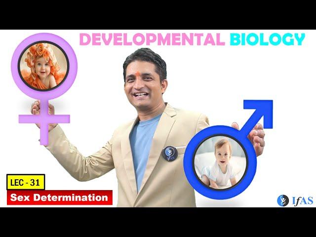 CSIR NET JUNE 2025 I Developmental Biology I Lecture 31 I Sex Determination I IFAS