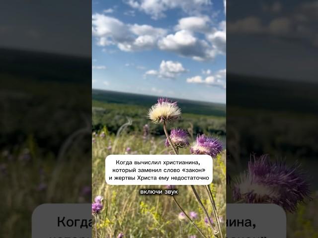 Ты не знаешь благодати, если так говоришь