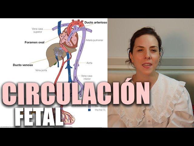 CIRCULACIÓN FETAL