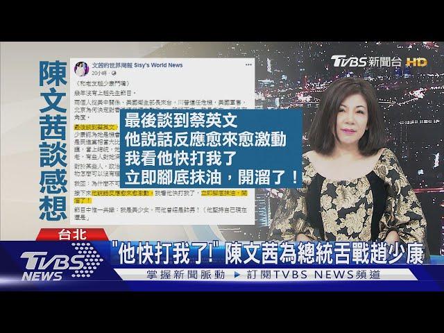 "他快打我了!" 陳文茜為總統舌戰趙少康