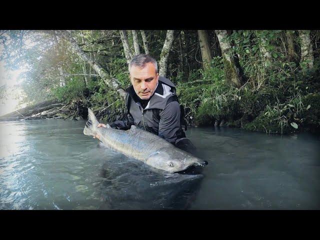 MON PLUS GROS CHINOOK JAMAIS PÊCHÉ  - Cyril Chauquet