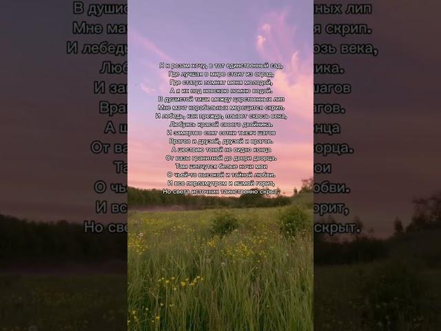 «Летний сад» А.Ахматова Тгк: Прибежище несчастных #поэзия #ахматова #стихи #писатель