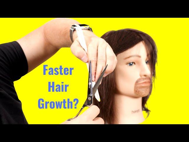 How to Cut Split Ends - TheSalonGuy