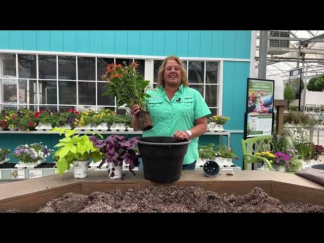 Planting a Perennial Container Combination