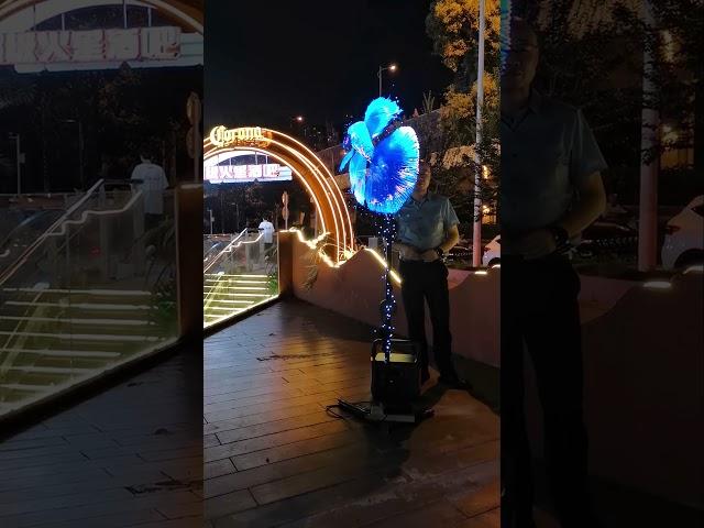 Revolutionize Your Visual Experience with Holographic Fan Technology #3d #ledfan #holographic