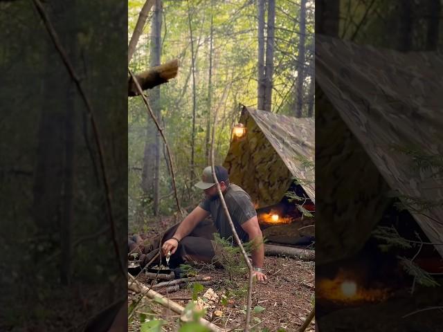 WILD camping using A-Frame tarp shelter #wildcamping #camping #survival #bushcraft #outdoorcamping