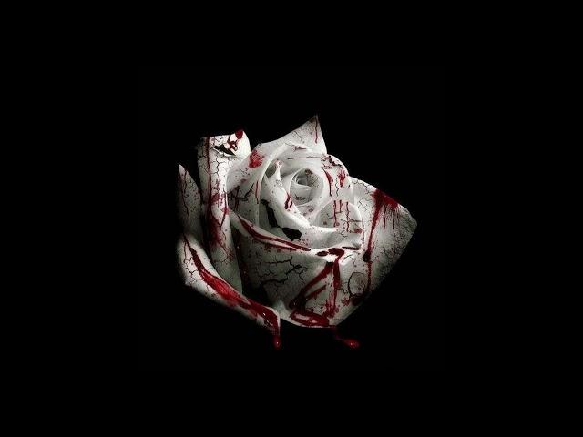 d4vd - Romantic Homicide (Official Audio)