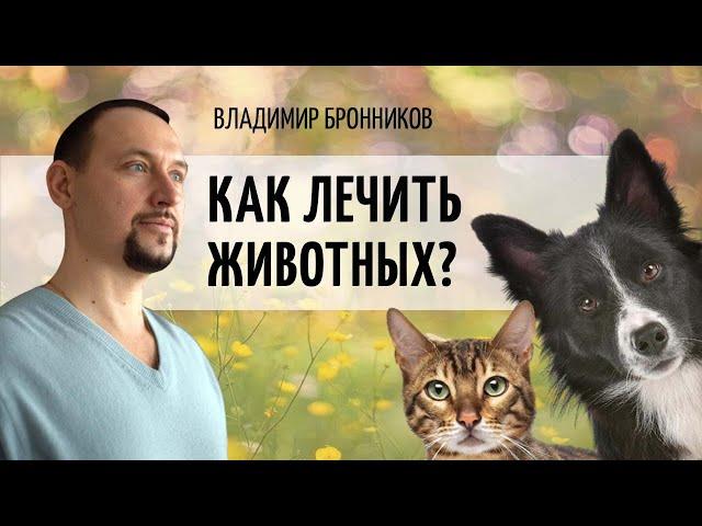 Как лечить животных по методу Бронникова? Владимир Бронников