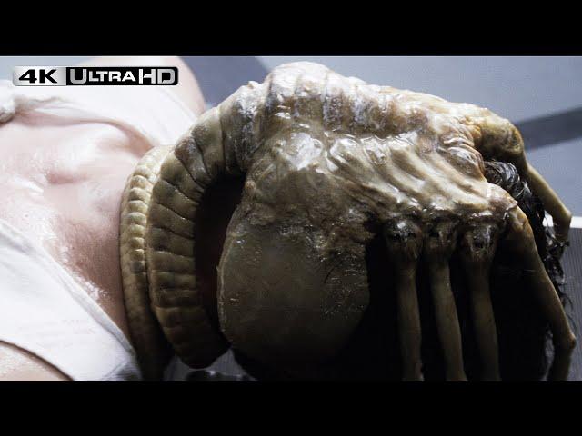 Alien 4k HDR | Face Hugger