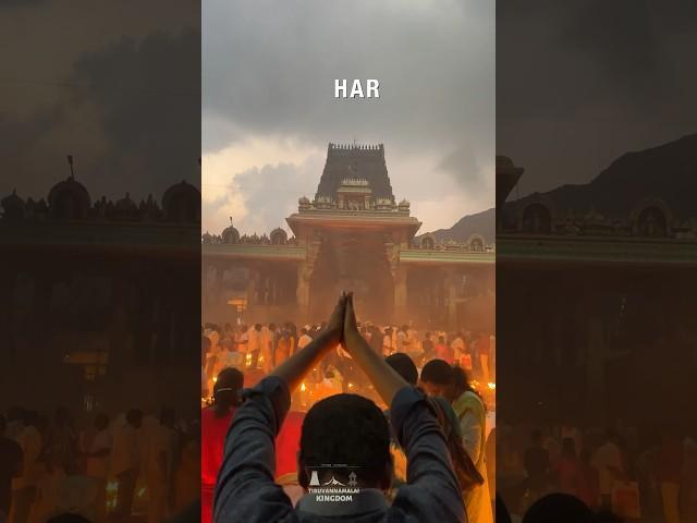 ArunachalaShiva Vibes #tiruvannamalai #arunachaleswarartemple #lordshivawhatsappstatus