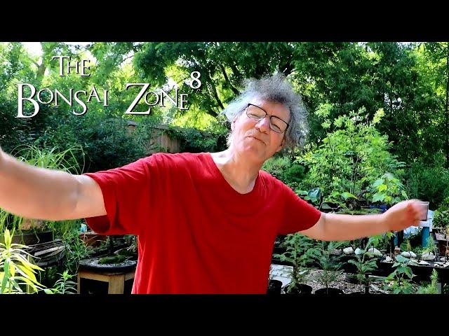 My Bonsai Bench Tour, The Bonsai Zone, June 2021