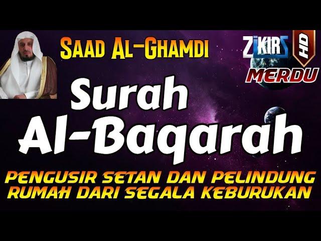 SURAT AL BAQARAH FULL PENGUSIR JIN SETAN DAN PELINDUNG RUMAH DARI SEGALA KEBURUKAN | Saad Al-Ghamdi