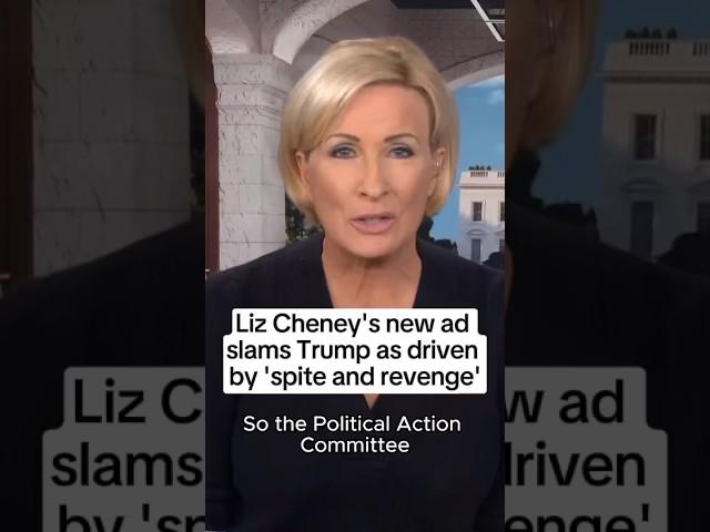 Liz Cheney's new ad slams Trump as driven by 'spite and revenge'