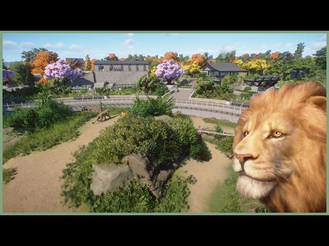 Modern African lion habitat | Soliuko Zoo | Planet Zoo | speedbuild