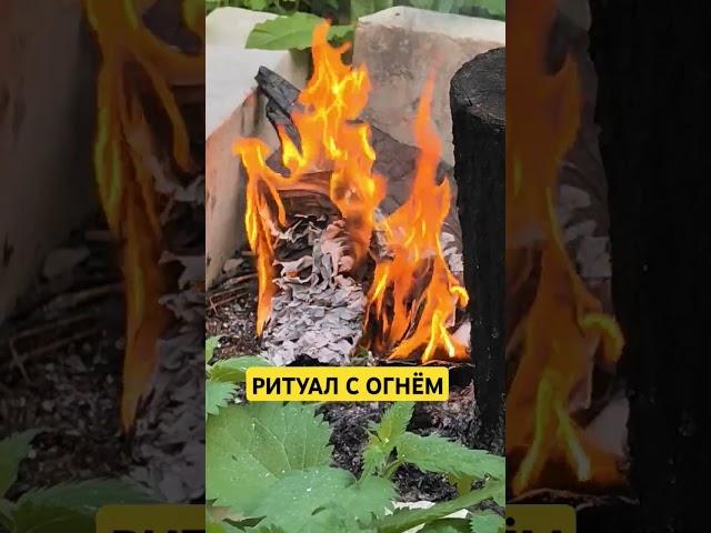 РИТУАЛ С ОГНЕМ ОЧИЩЕНИЯ ОТ ПРОШЛОГО И ВСЕГО  НЕНУЖНОГО  #ритуал #ритуалы #огонь #жизнь #феникс #топ