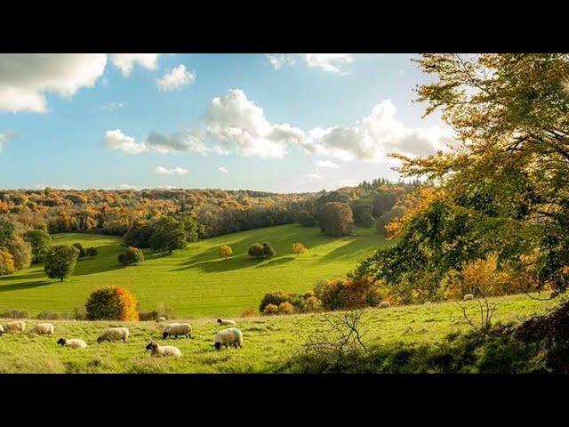 5.5 Hectare Farm in San Antonio, Zambales for Sale