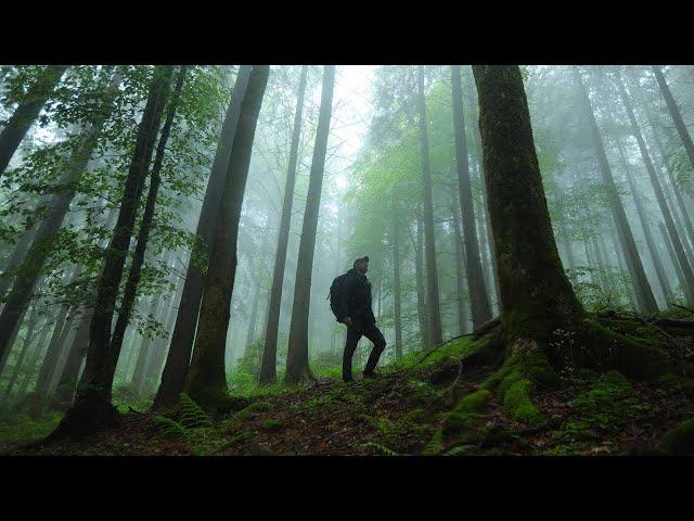 Viaje de senderismo silencioso en las montañas (ASMR)