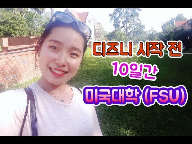 미국땅 처음 밟아본 한국인 소감 My first impression of Florida in the US