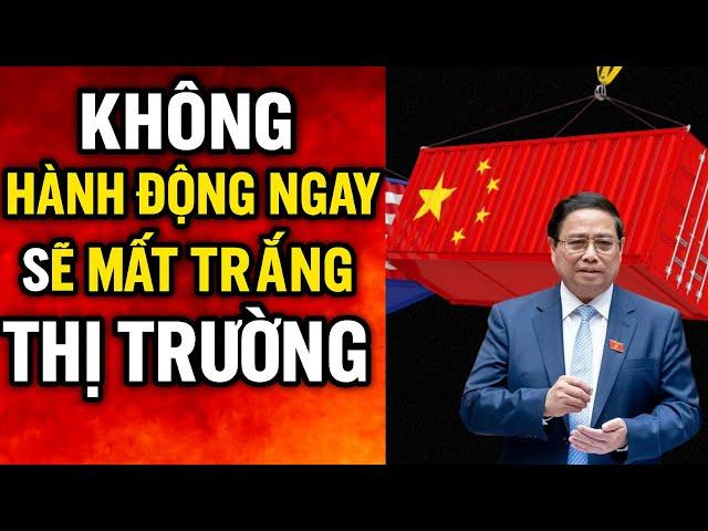 Chống Lại Hàng Nhập Khẩu Giá Rẻ: CHIẾN LƯỢC THÀNH CÔNG!