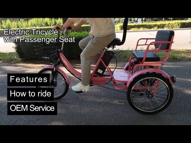 Electric Tricycle with Passenger Seat | 2024 New Electric Rickshaw Bike