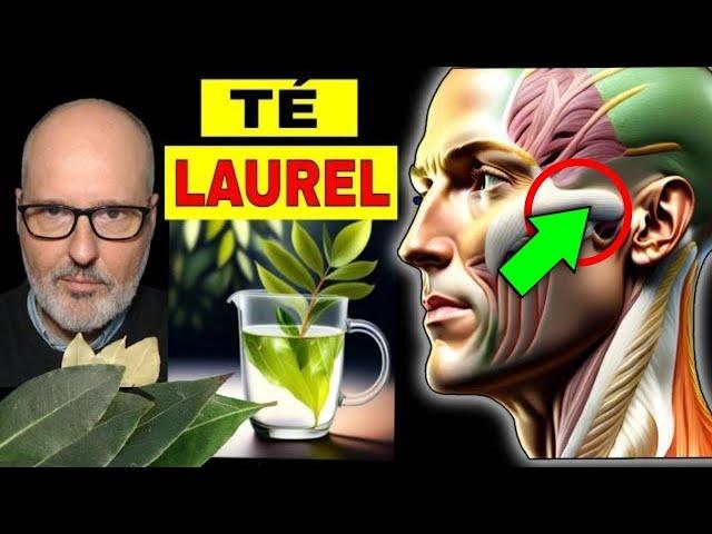 DISEASES that HEAL with LAUREL TEA (HOW TO USE IT)