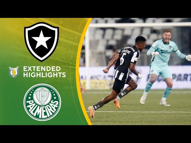 Botafogo vs. Palmeiras : Extended Highlights | Brasilerao Série A | CBS Sports Golazo South America