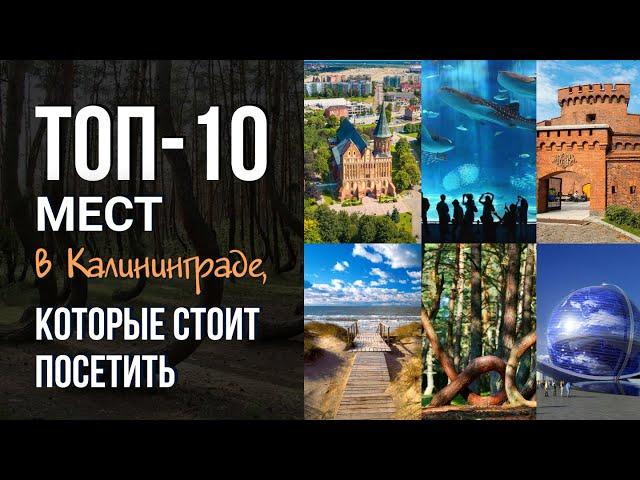 Ты не был в Калининграде, если не побывал здесь! Топ-10 мест в Калининграде, которые стоит посетить