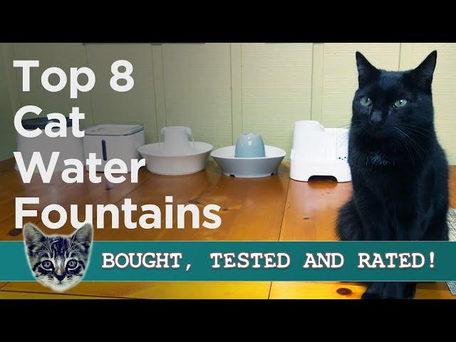 The Ultimate Cat Water Fountain Showdown: The TOP 8 ALL TESTED!