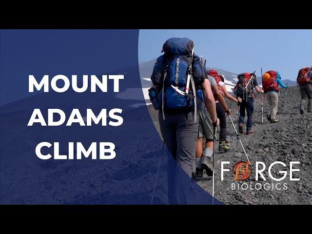 Forge Biologics: Mount Adams Climb