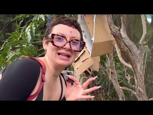 Your Favorite VanillaMace Funny Moments
