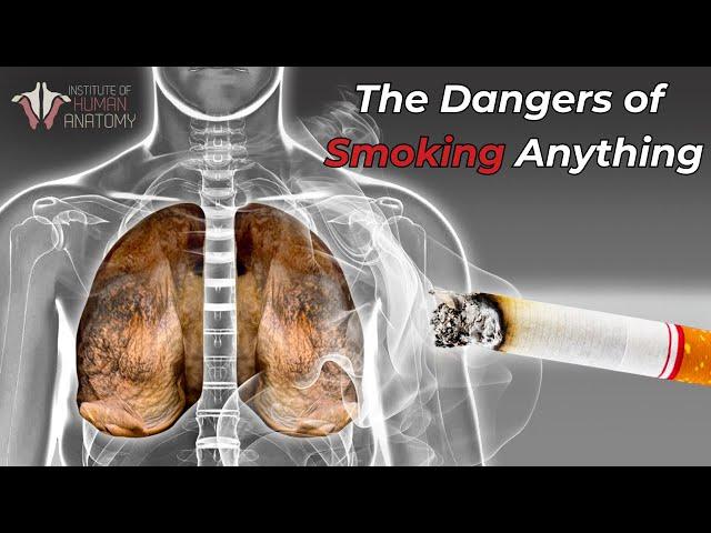 Why Smoking ANYTHING Can Cause Lung Cancer