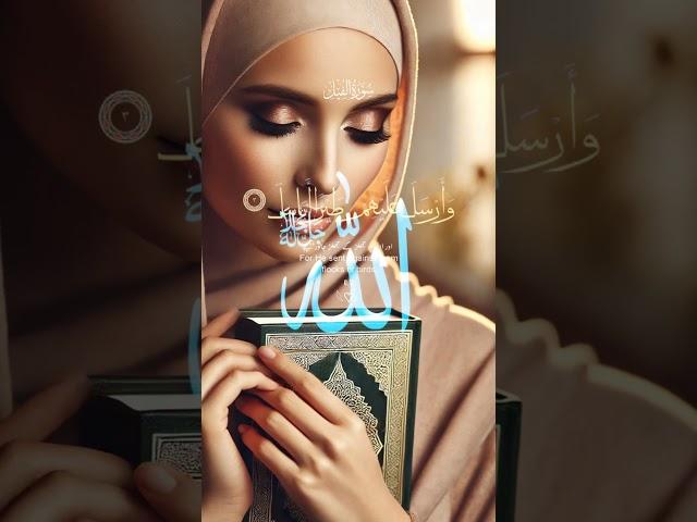 #القران_الكريم #سورة الفيل#