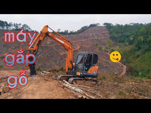 Doosan DX55 ace Mt gắp gỗ lên xe ben