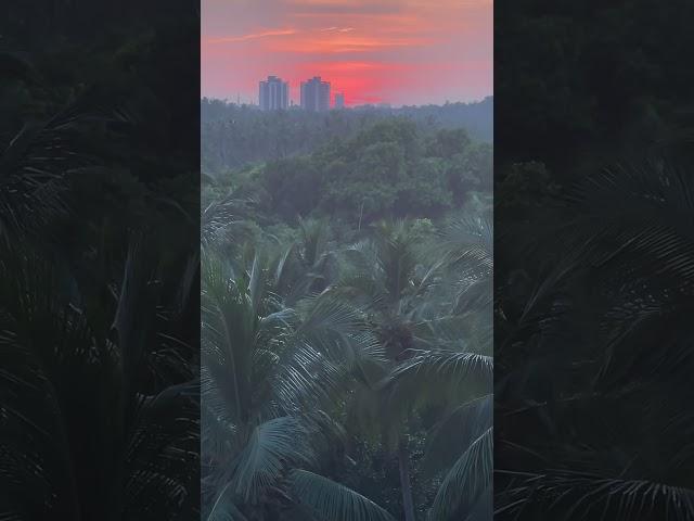 Red sky#evening#sky#sunset#sunsetphotography#travel#calicut#pvs#life#music#beach#love