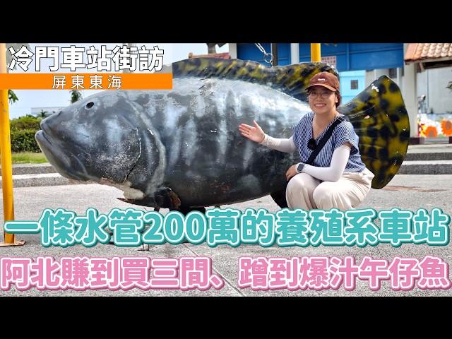 下車就是魚塭的鄉下小站，被阿姨帶回家打地下撞球！激推菲律賓球友：人帥、體壯、球技好️│ 屏東 東海車站 │ 冷門車站街訪EP55