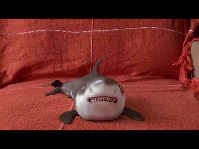 Happy Shark