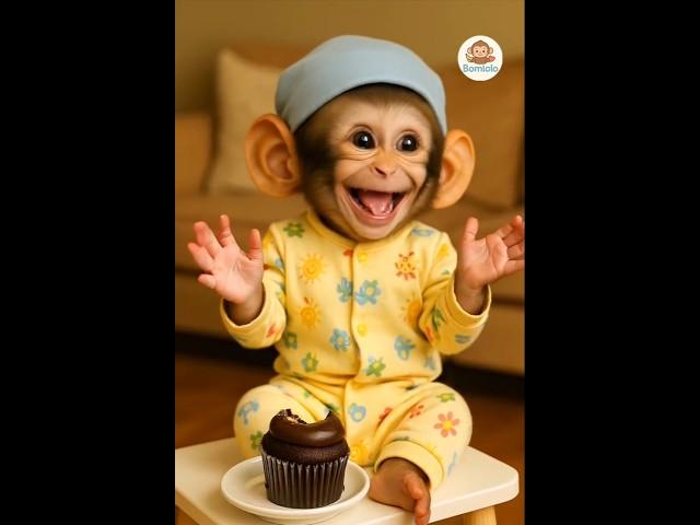 smart baby monkey 