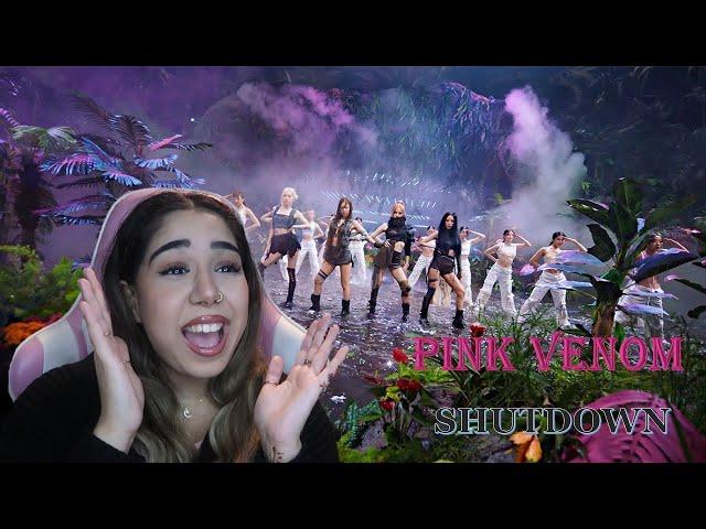 BLACKPINK - 'PINK VENOM' & 'SHUTDOWN' M/V REACTION