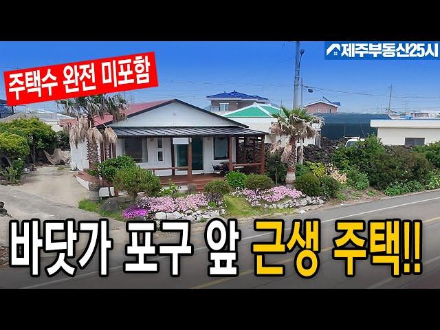 [매물번호0533] 우영우 촬영지 영구 조망 포구 앞 소형 주택 구입 찬스 #제주도부동산