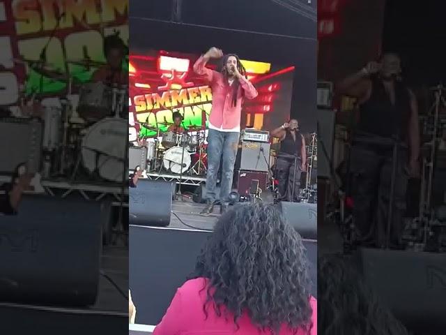 Julian Marley & The Uprising - Live at Simmer Down Festival 2024, UK