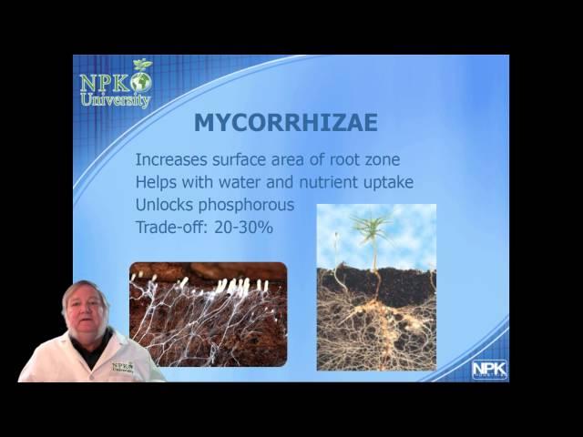 NPK-University Soil Microbiology With Harley Smith