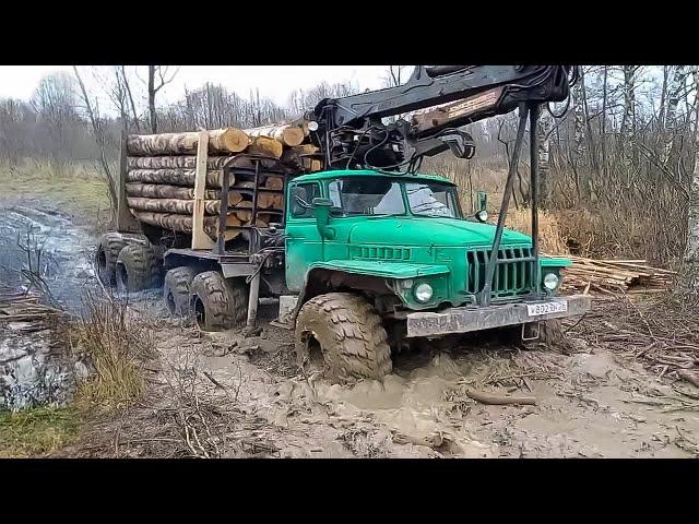 Soviet All Wheel Drive Military Trucks For Logging! GMC, FAP 1314, KRAZ, URAL and Heavy off road