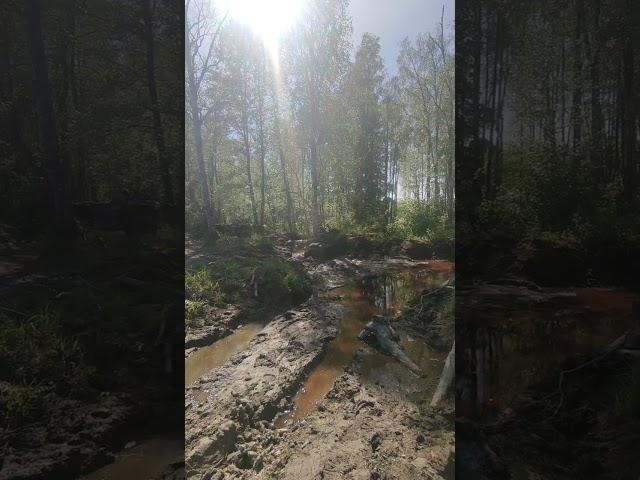 Чем отличается оффроуд на внедорожнике от оффроуда на квадроциклах?)