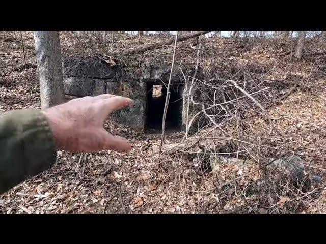 A Fantastic Day Of Metal Detecting And Nature Observations