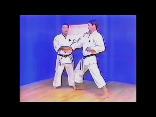 Goju ryu kata. Seiyunchin. Indroduction and history