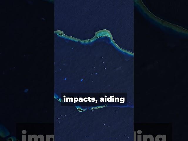 SHORT How are Satellites Used to Observe the Ocean