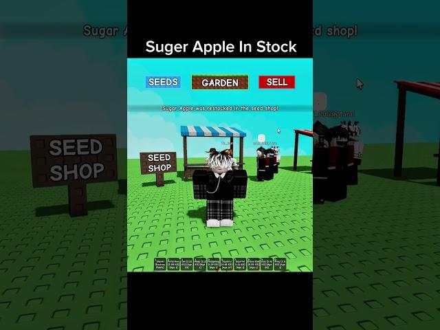 Suger Apple In Stock Grow A Garden #roblox #growagarden #growagardenupdate